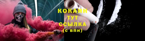 тгк Горняк