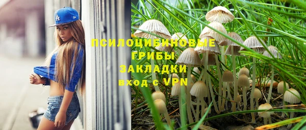 ALPHA PVP Горно-Алтайск