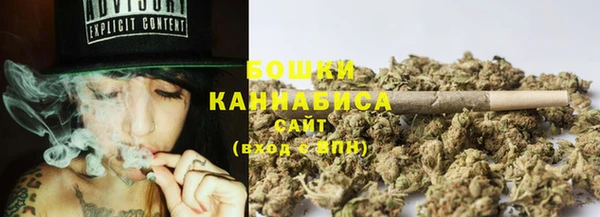 тгк Горняк