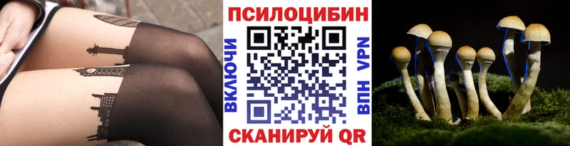 Купить  Альметьевск  Галлюциногенные грибы Psilocybe